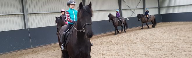 kinder groepsles op fries paard