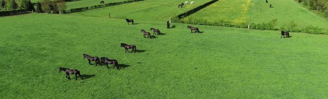 DJI_0012 (2)_Moment(2)_Moment